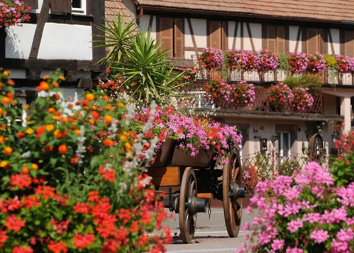 Maison De Ville Chez Lea - Gite Familial Parking Terrasse