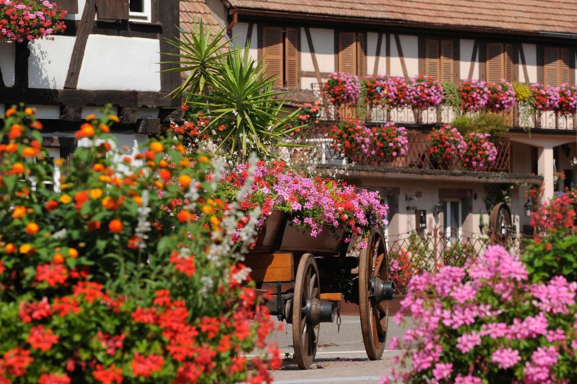 Maison De Chez Lea - Familial Parking Terrasse *